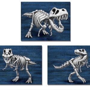 New! Dinosaur Skeleton Canvas Wall Art T-rex Pictures 12"x16"x3 3 Piece Set
